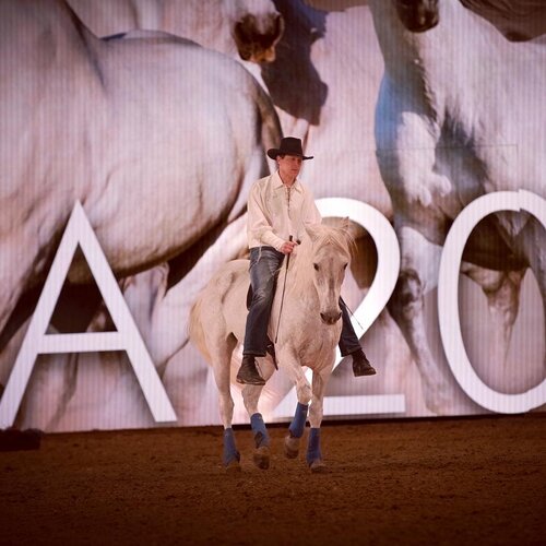 Line Free Collection